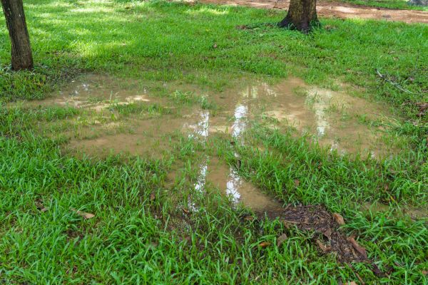 Cost of Storm Water Drainage Service in Eugene