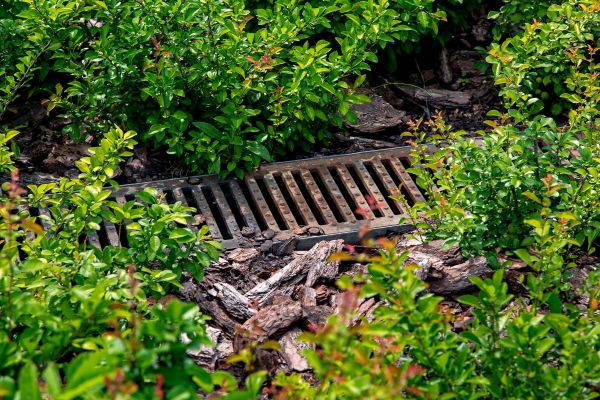 Cost of Underground Drainage Service in Eugene
