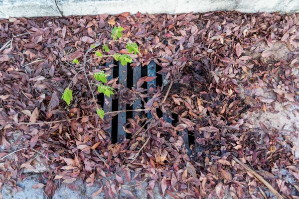 Cost of Yard Drain Unclogging in Eugene