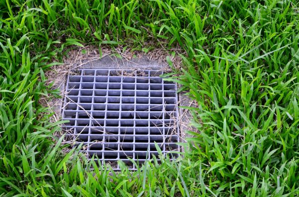 Cost of Yard Water Drainage in Eugene