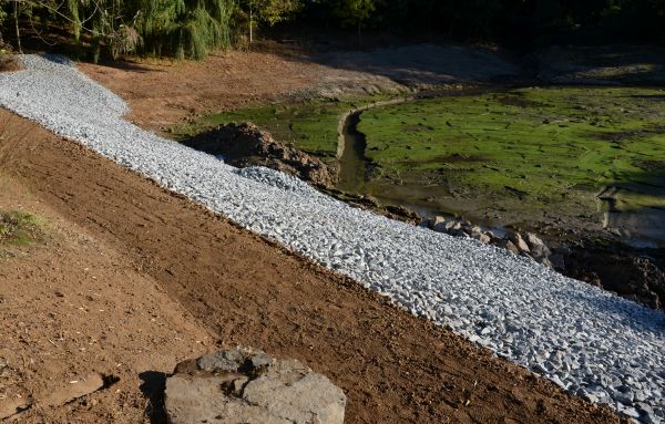Cost of Landscape Swales Installation in Eugene