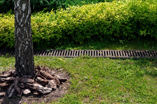 Cost of Yard Water Redirection in Eugene