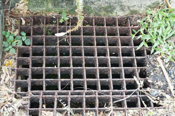 Cost of Yard Drain Cleaning in Eugene