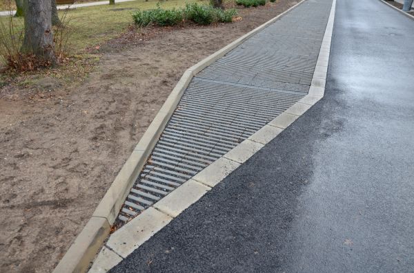 Cost of Muddy Yard Drainage in Eugene