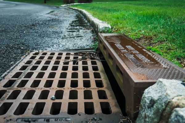 Cost of Storm Drain Repair in Eugene