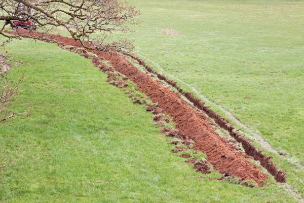 Cost of Swale Installation in Eugene