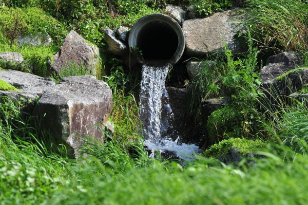 Cost of Water Redirection in Eugene
