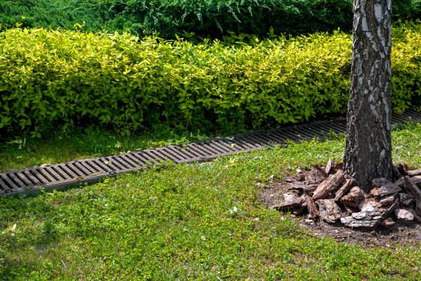 Cost of Residential Landscape Drainage in Eugene