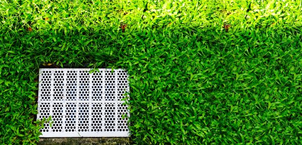 Cost of Yard Drainage Replacement in Eugene