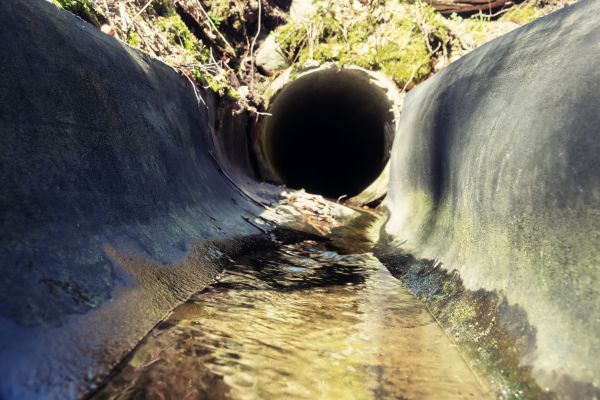 Drainage Swale Installation in Eugene