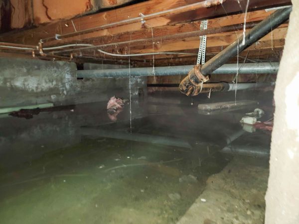 Cost of Crawlspace Drainage in Eugene
