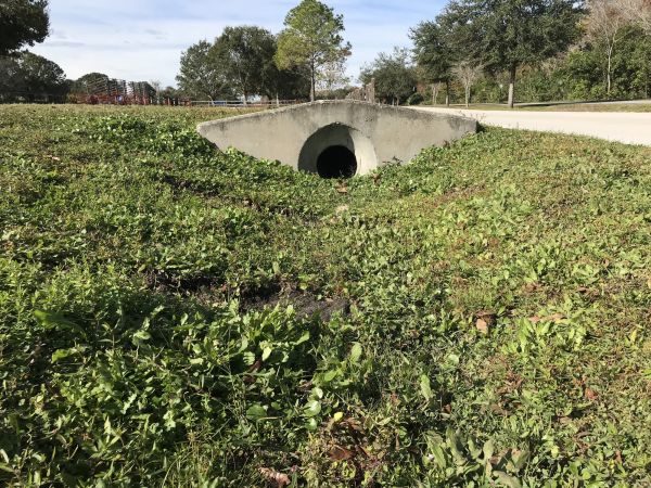 Cost of Swale Drainage Service in Eugene